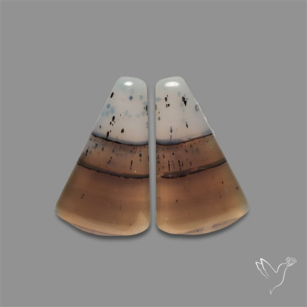 Montana Agate Pair