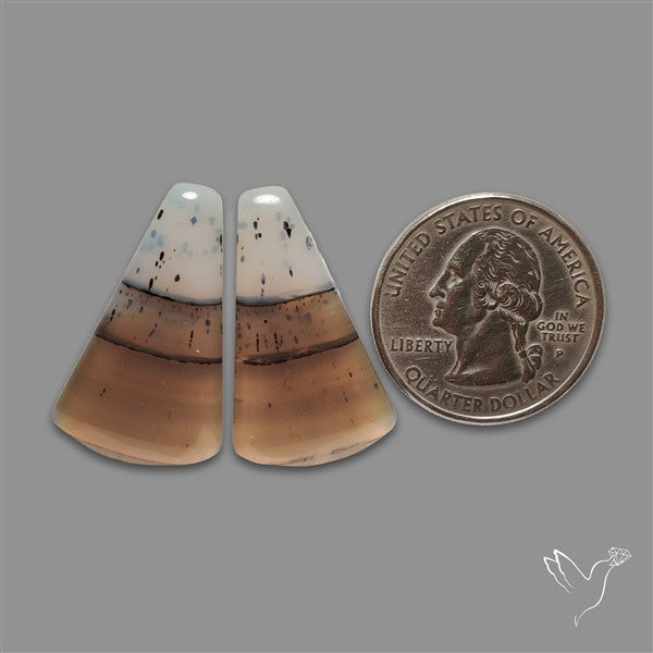 Montana Agate Pair