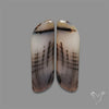 Montana Agate Pair