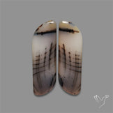 Montana Agate Pair