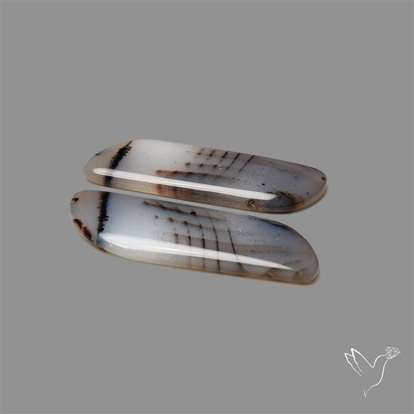 Montana Agate Pair
