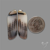 Montana Agate Pair