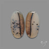 Montana Agate Pair