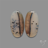 Montana Agate Pair