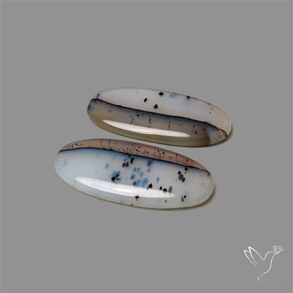 Montana Agate Pair