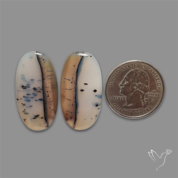Montana Agate Pair