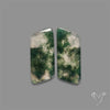 Moss Agate Pair