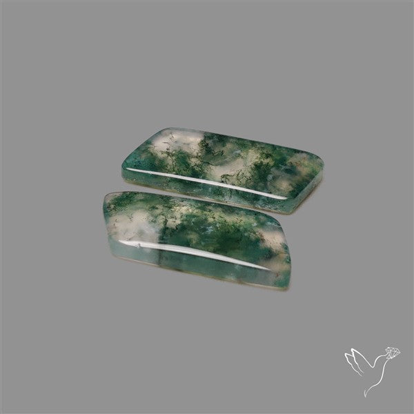 Moss Agate Pair