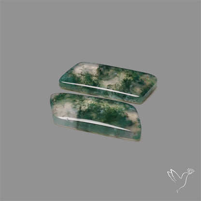 Moss Agate Pair