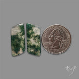 Moss Agate Pair