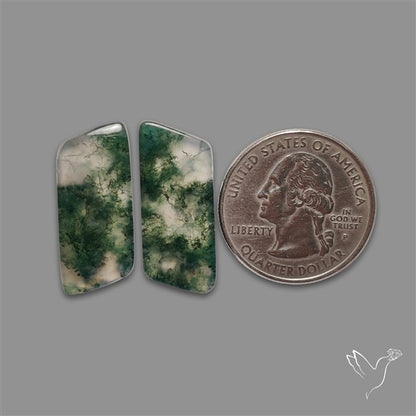 Moss Agate Pair