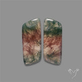 Red Moss Agate Pair