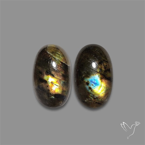 Golden Spectrolite Pair