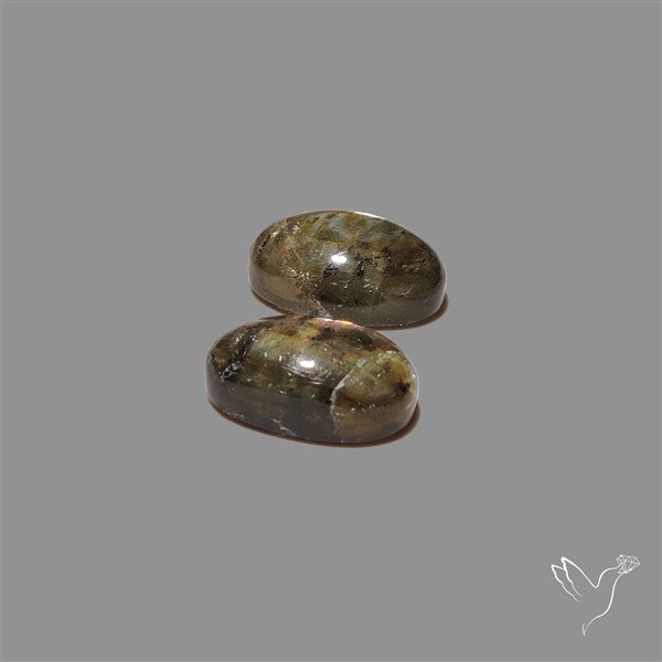 Golden Spectrolite Pair
