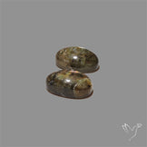 Golden Spectrolite Pair