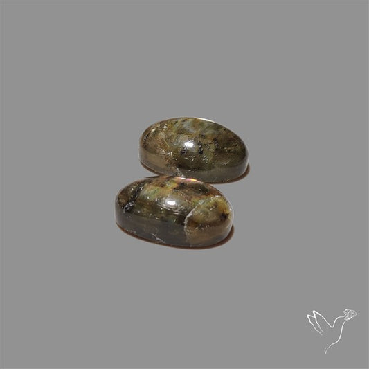 Golden Spectrolite Pair
