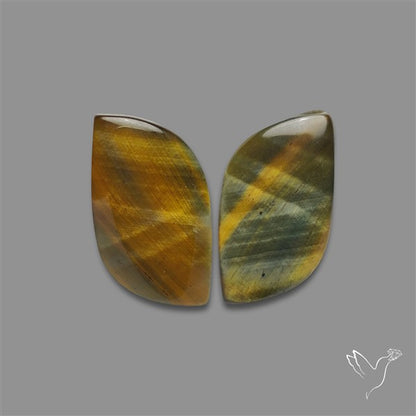 Iron Tiger Eye Pair