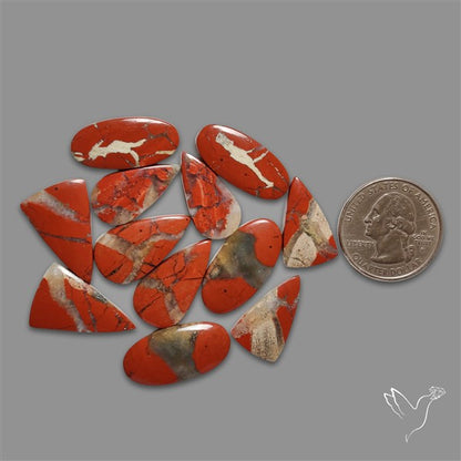 Brecciated Mookaite Cabochons Lot