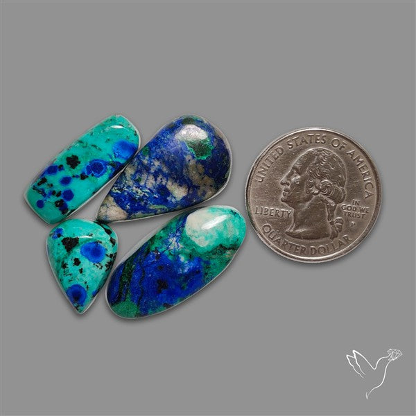 Azurite Chrysocolla Cabochons Lot