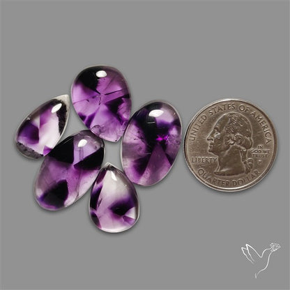 Trapiche Amethyst Cabochons Lot