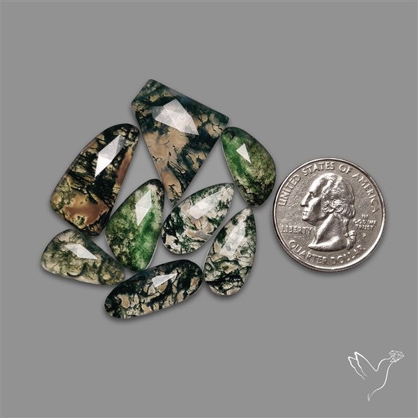 Rose Cut Moss Agate Lot