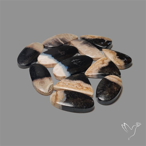 Indonesian Palmroot Agate Cabochons Lot