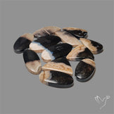 Indonesian Palmroot Agate Cabochons Lot