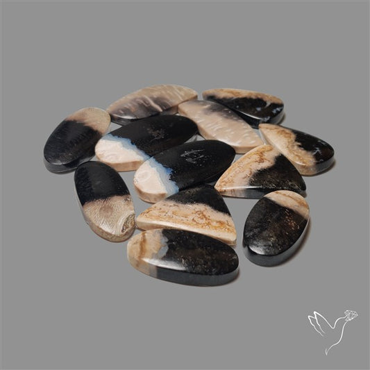 Indonesian Palmroot Agate Cabochons Lot
