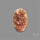 Rare Vanadinite Druzy