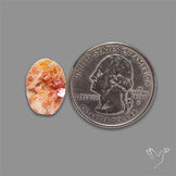 Rare Vanadinite Druzy