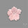 Pink Conch Shell Floral Carving (not flat backed)