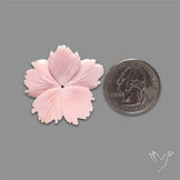 Pink Conch Shell Floral Carving (not flat backed)