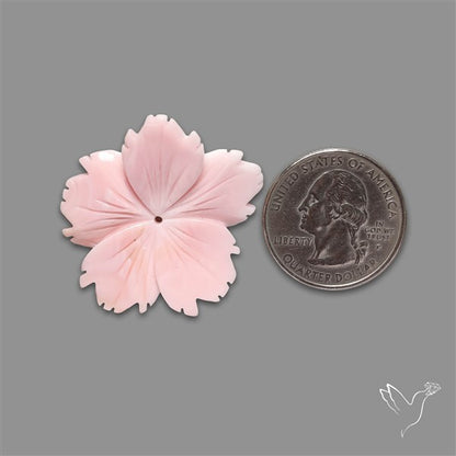 Pink Conch Shell Floral Carving (not flat backed)
