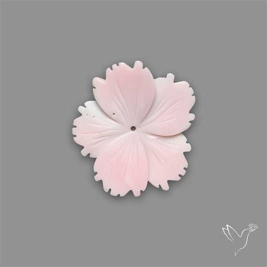 Pink Conch Shell Floral Carving (not flat backed)