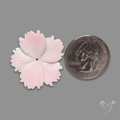 Pink Conch Shell Floral Carving (not flat backed)