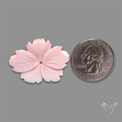 Pink Conch Shell Floral Carving (not flat backed)