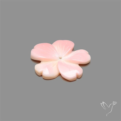 Pink Conch Shell Floral Carving (not flat backed)