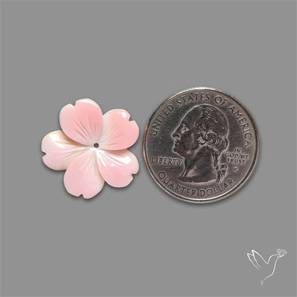 Pink Conch Shell Floral Carving (not flat backed)