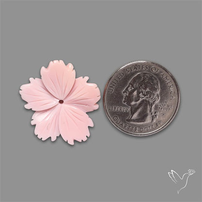 Pink Conch Shell Floral Carving (not flat backed)