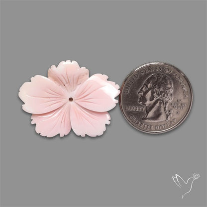 Pink Conch Shell Floral Carving (not flat backed)