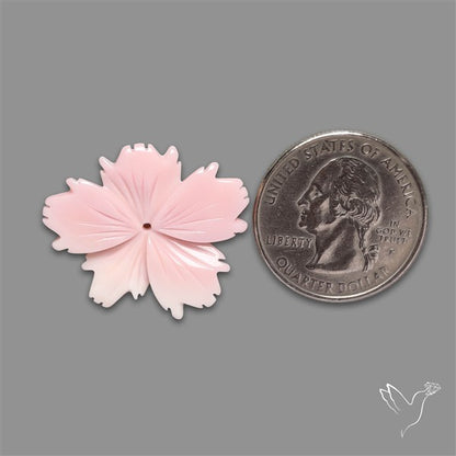 Pink Conch Shell Floral Carving (not flat backed)