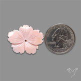 Pink Conch Shell Floral Carving (not flat backed)