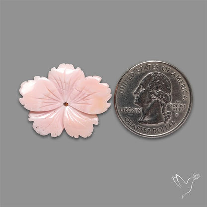 Pink Conch Shell Floral Carving (not flat backed)