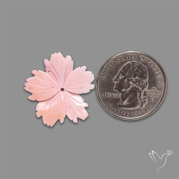 Pink Conch Shell Floral Carving (not flat backed)