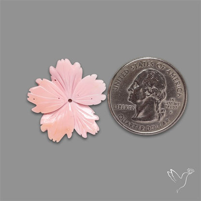 Pink Conch Shell Floral Carving (not flat backed)