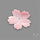 Pink Conch Shell Floral Carving (not flat backed)