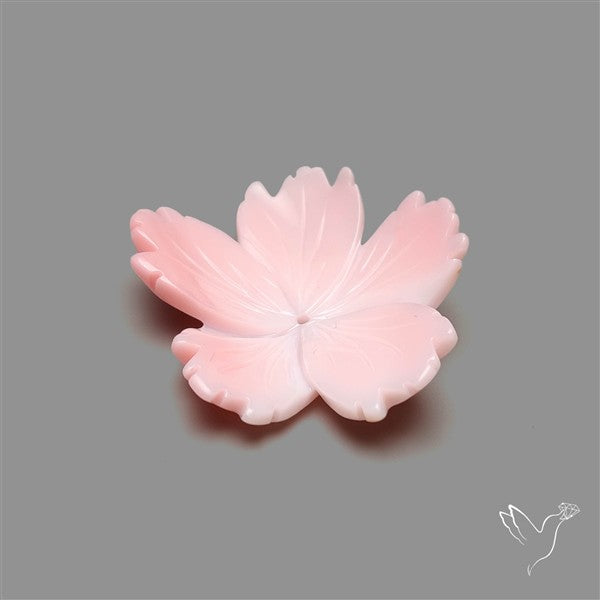 Pink Conch Shell Floral Carving (not flat backed)