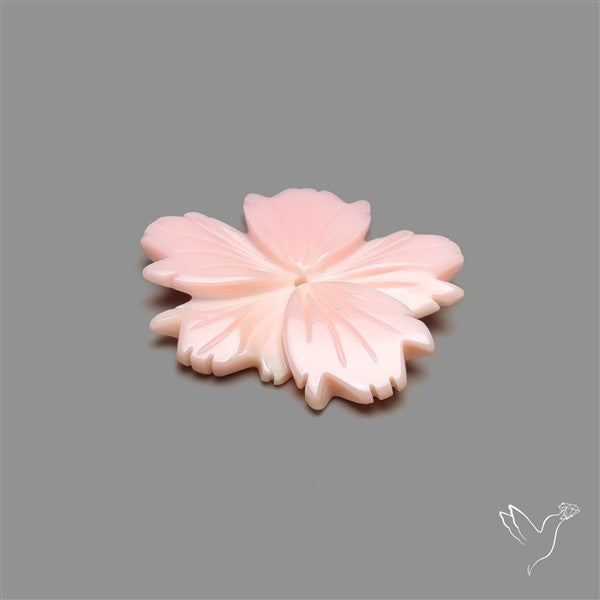 Pink Conch Shell Floral Carving (not flat backed)