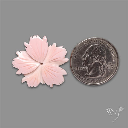Pink Conch Shell Floral Carving (not flat backed)