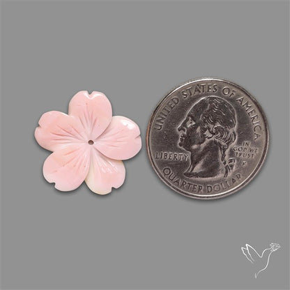 Pink Conch Shell Floral Carving (not flat backed)